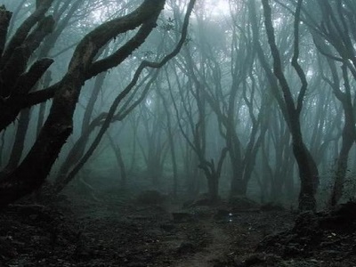 Ep. 156 - Hoia Baciu Forest