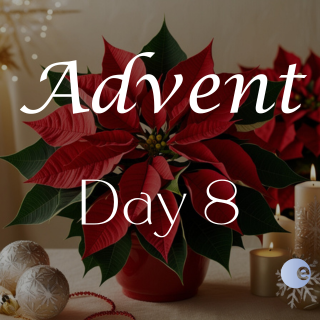 Advent - Day 8
