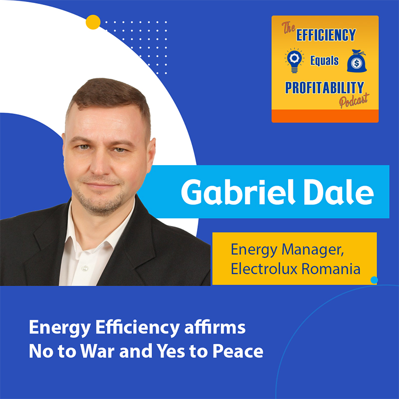 Efficiency Equals Profitability\'s podcast