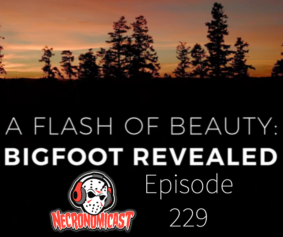 Episode 229  