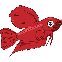 Swimbladder, a disease that doesn't exist.
