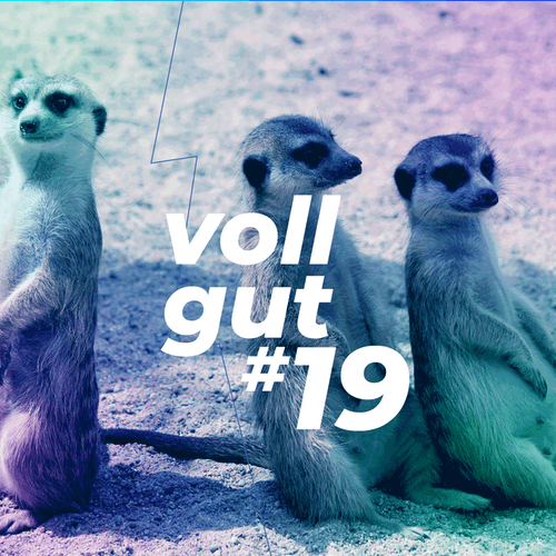 vollgut #19 Es geht auch ohne Mehrheit: So treffen Gruppen faire Entscheidungen