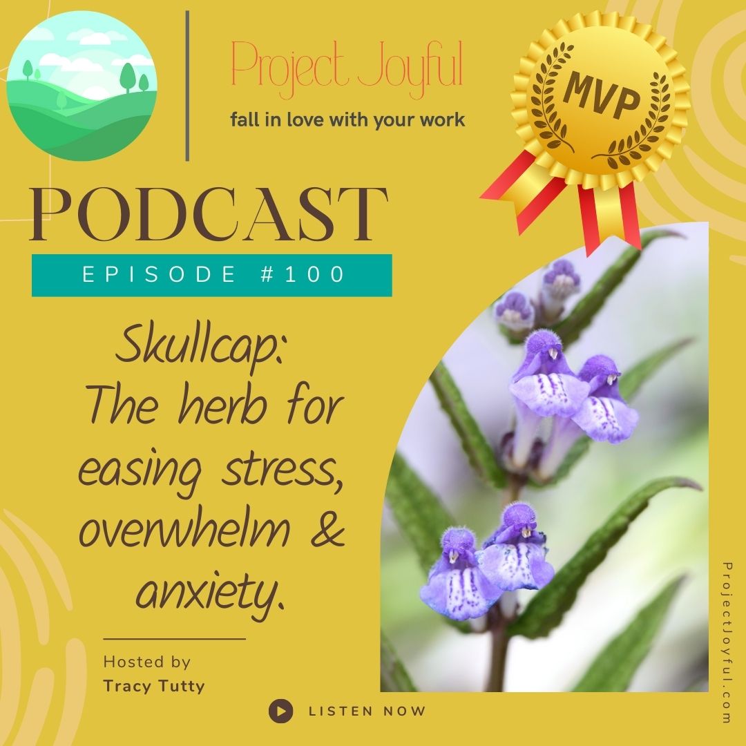 Our Most Valuable Episode: Skullcap, the herb for easing stress, overwhelm and anxiety
