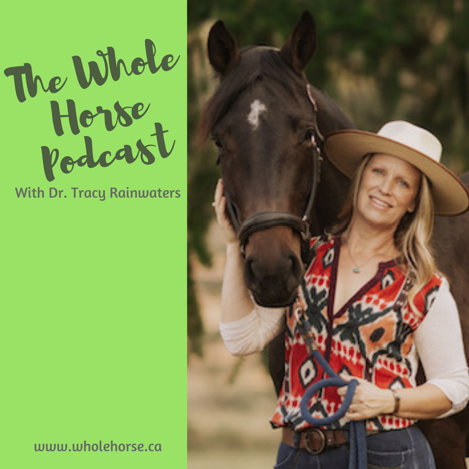 The Whole Horse Podcast with Alexa Linton