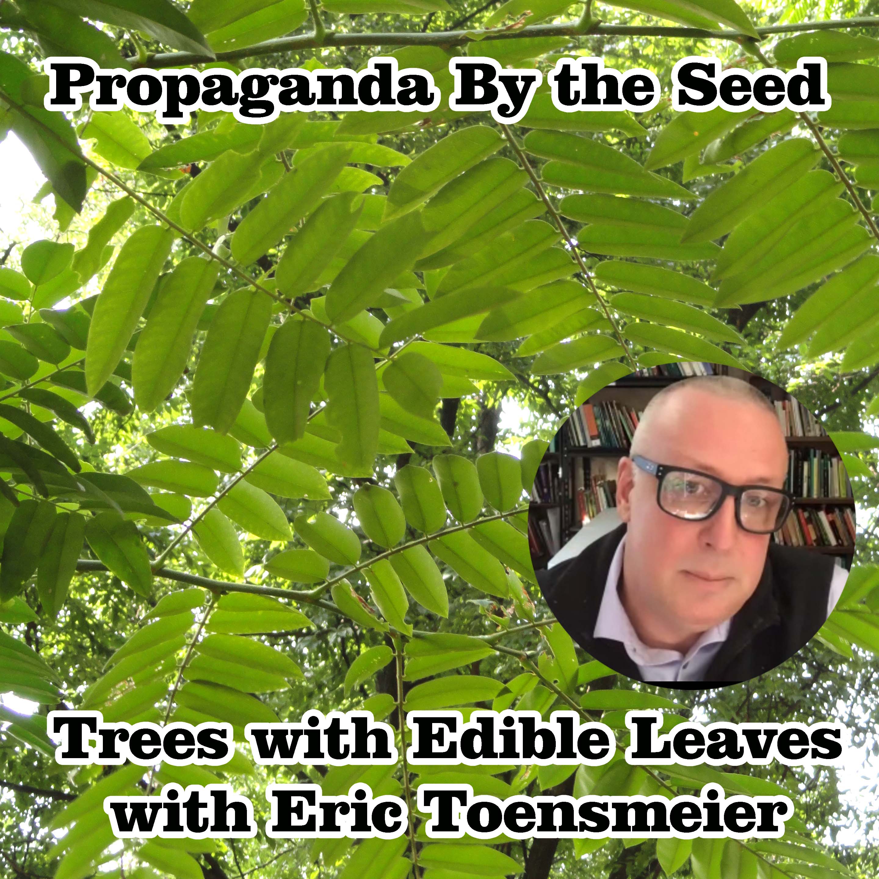 Propaganda By The Seed