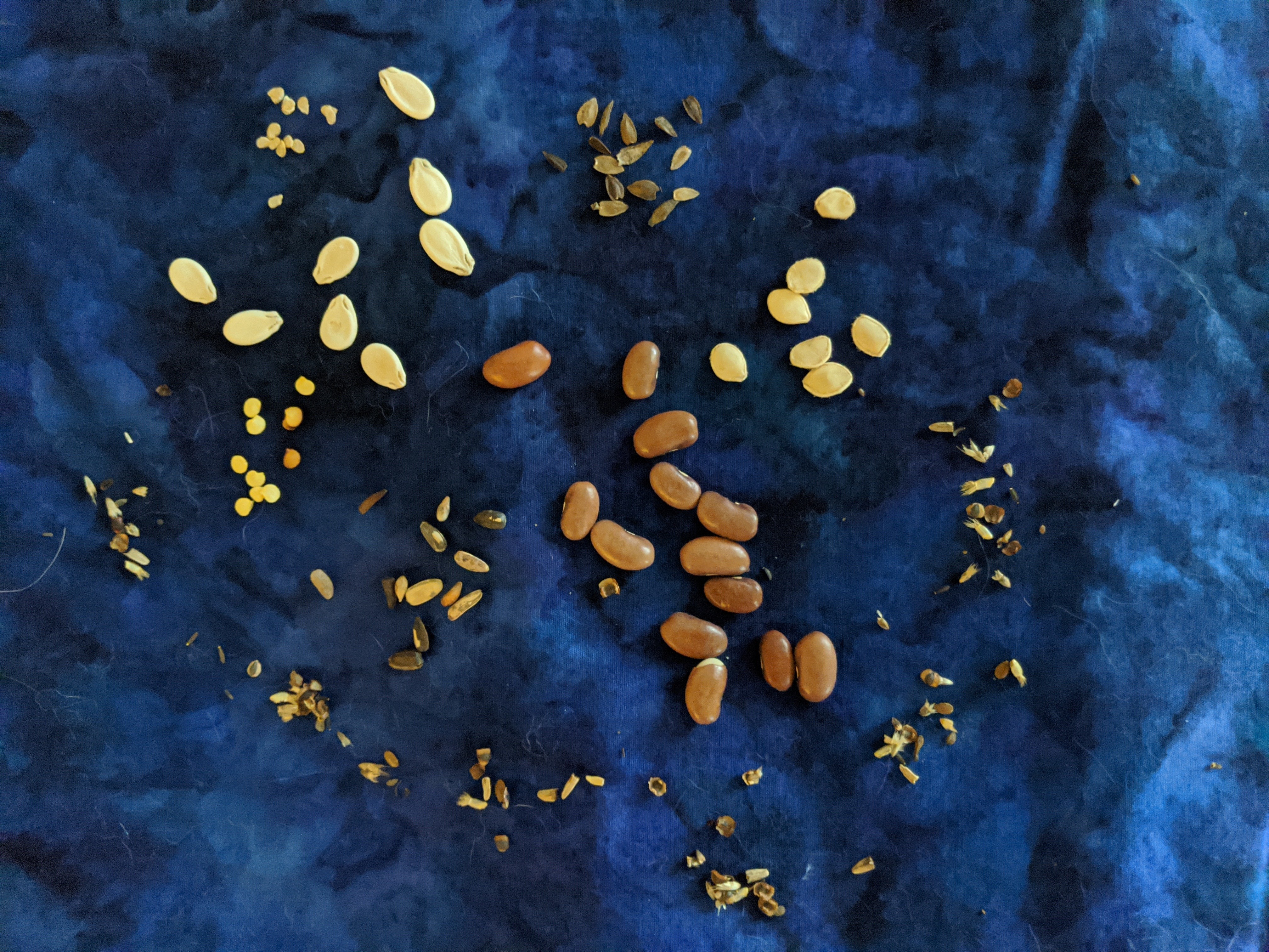 Audio Article: What is Organic?