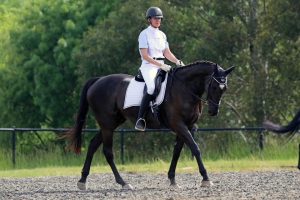 0196: Claire Harper - It Is Not Just About The Competition, It Is About The Bond With The Horse As Well