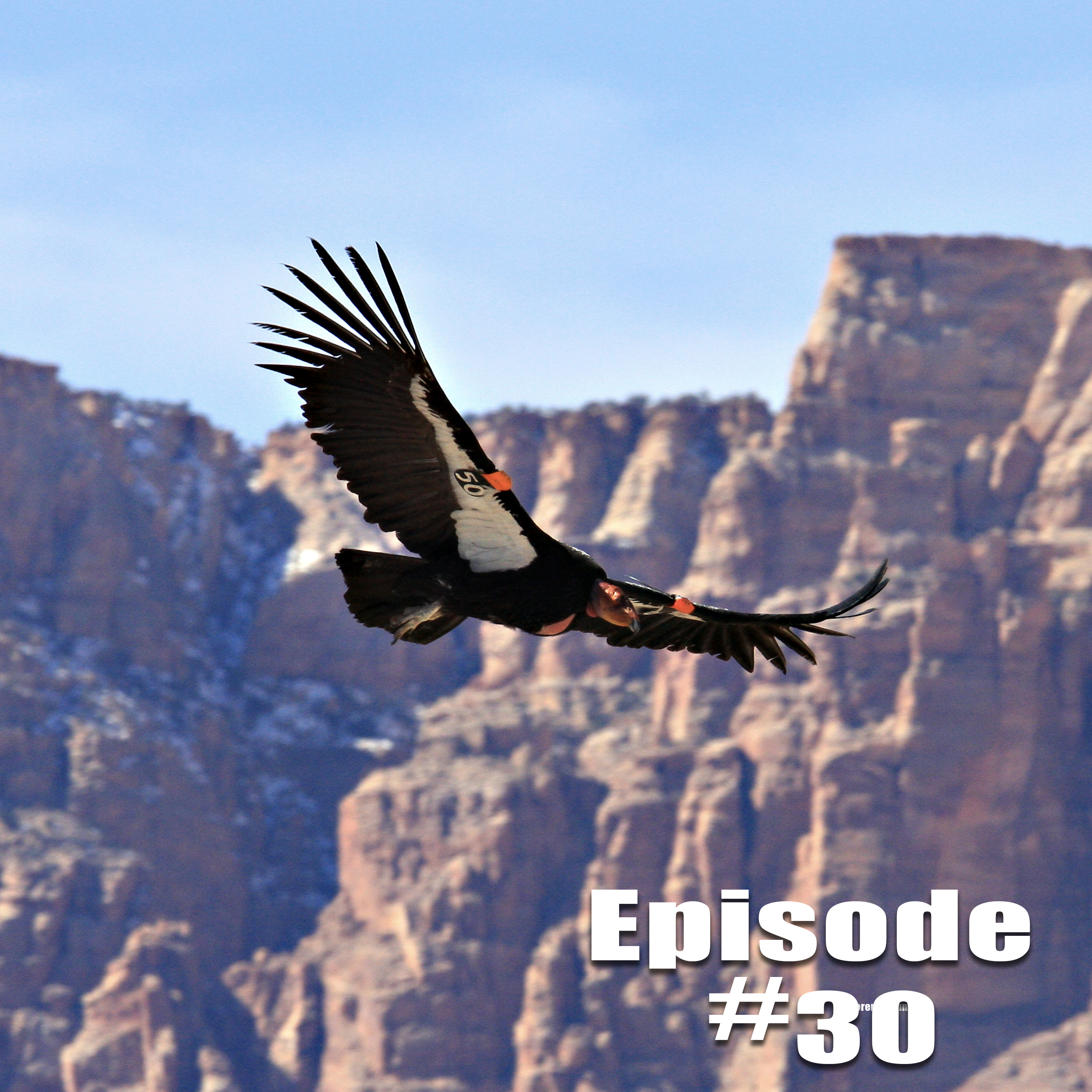 FieldsportsChannel\'s Podcast