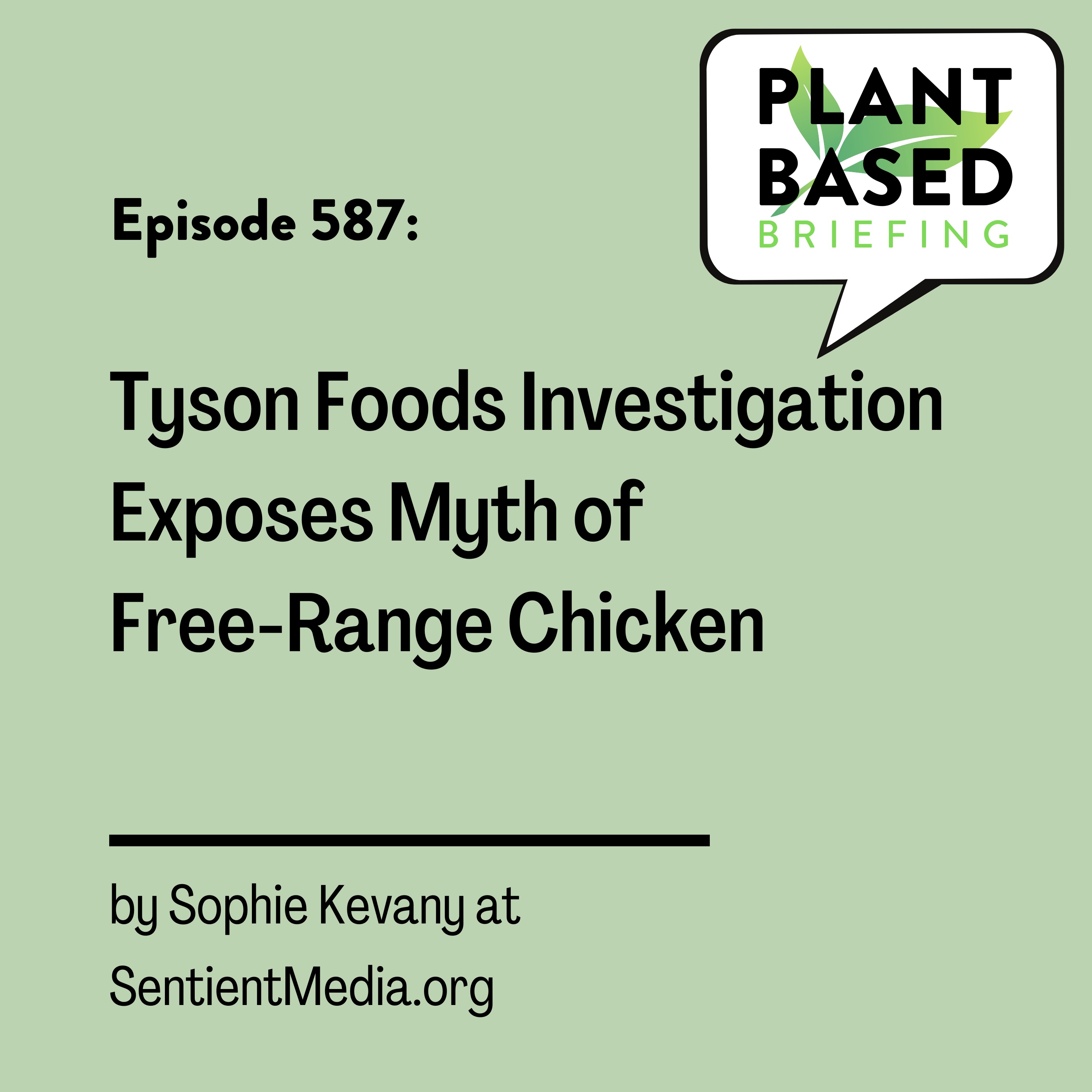 Plant Based Briefing