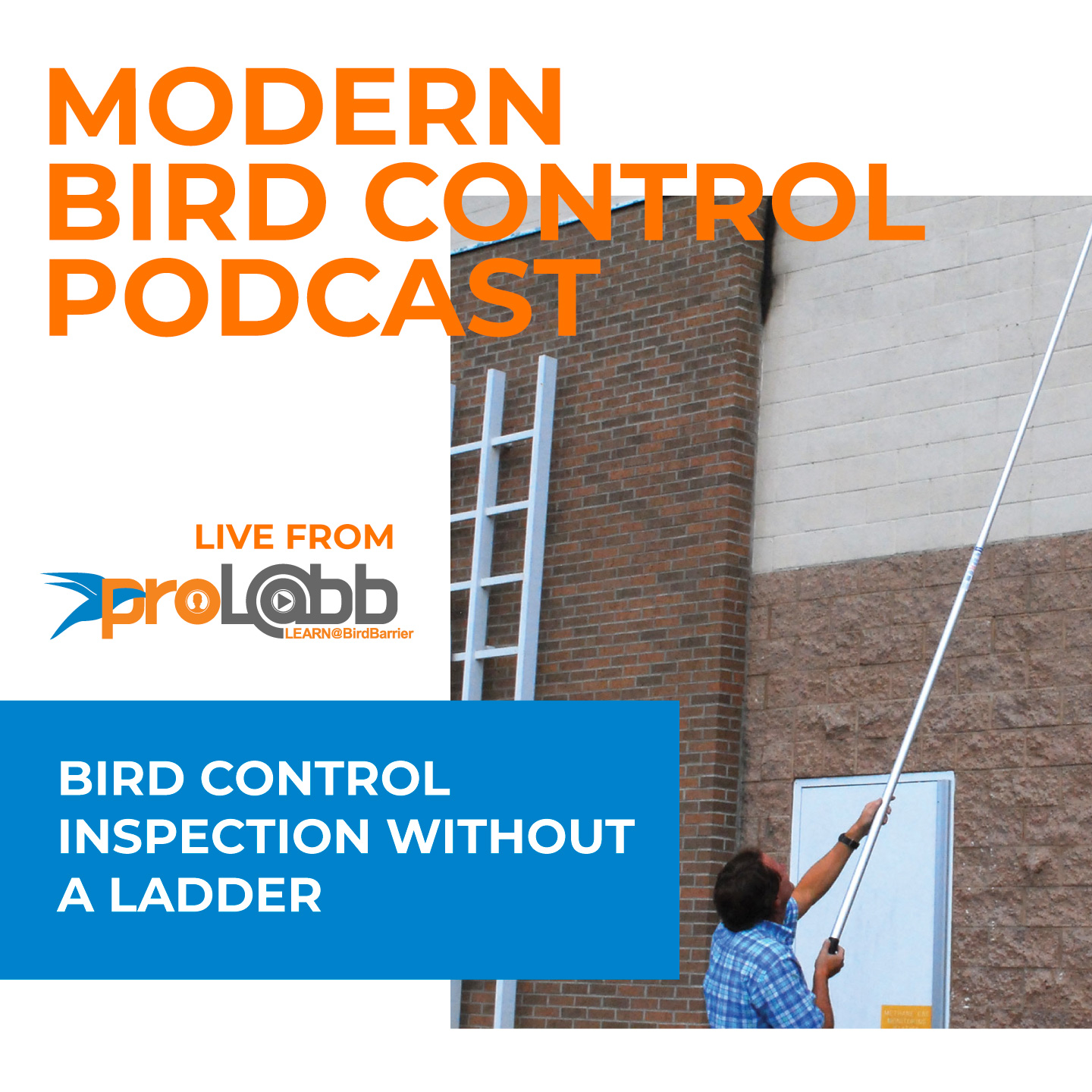 Episode: Bird Control Inspection Without A Ladder