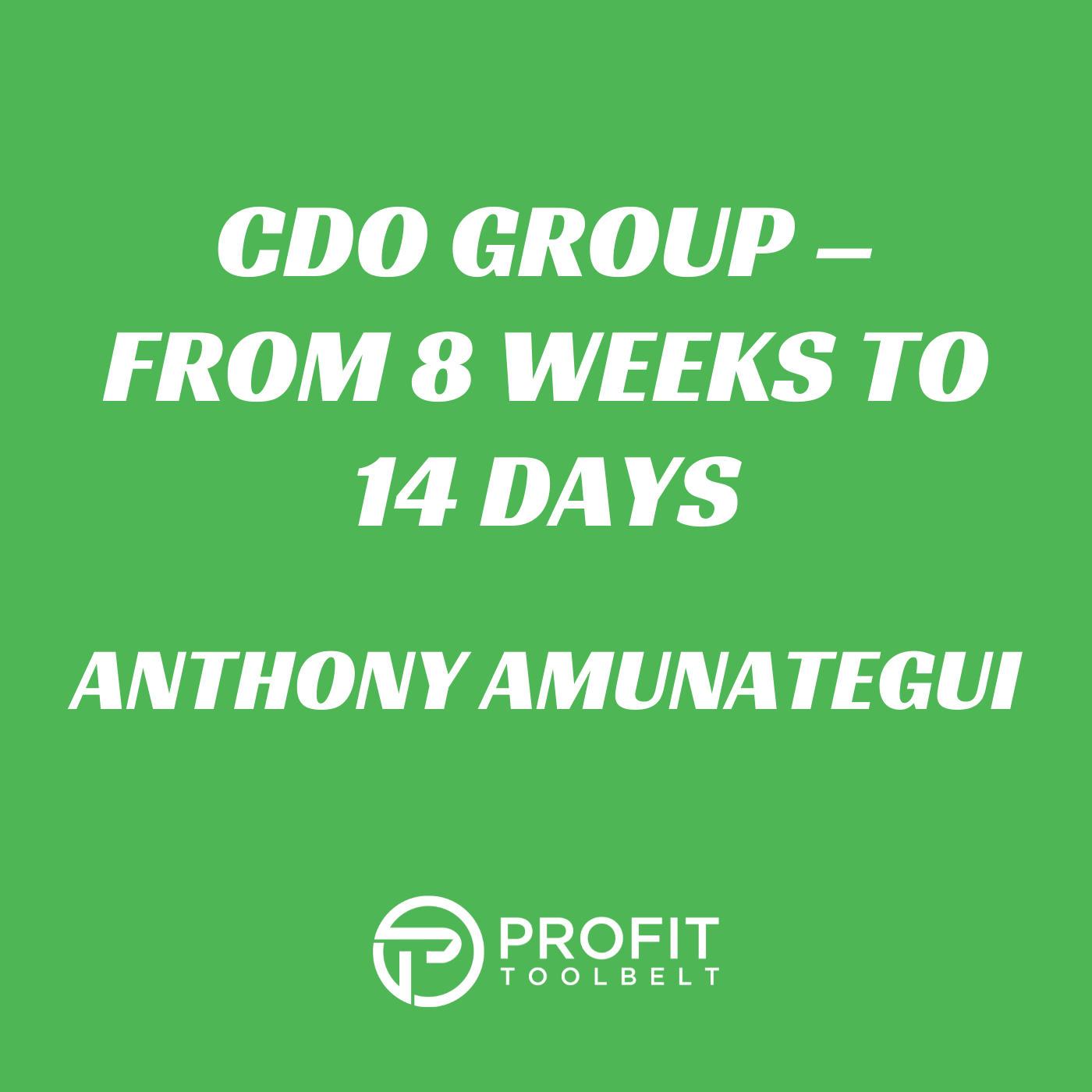 Profit Tool Belt I Construction I Contracting I Renovations I Remodelling I Construction Business Coach Dominic Rubino