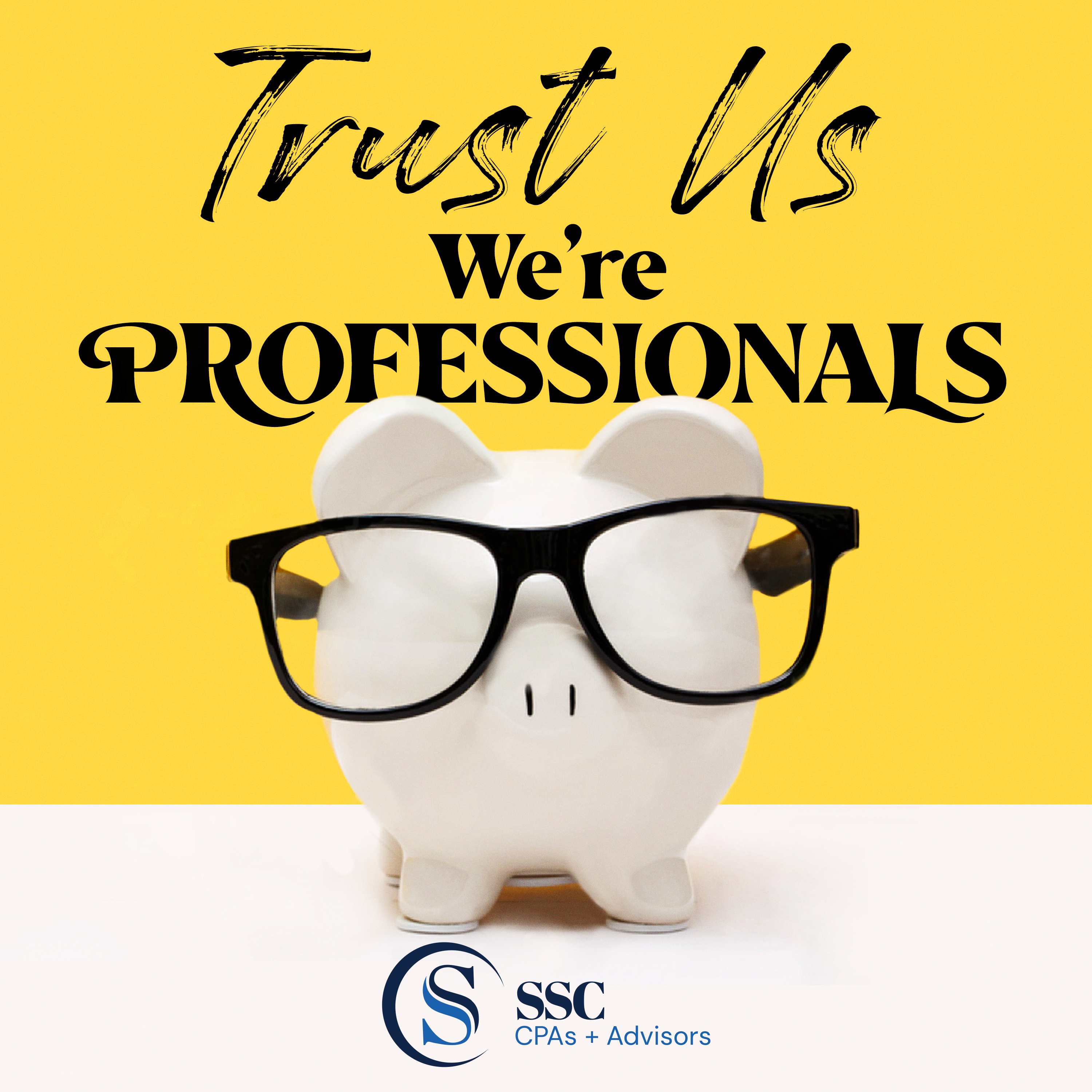 Trust Us We\'re Professionals