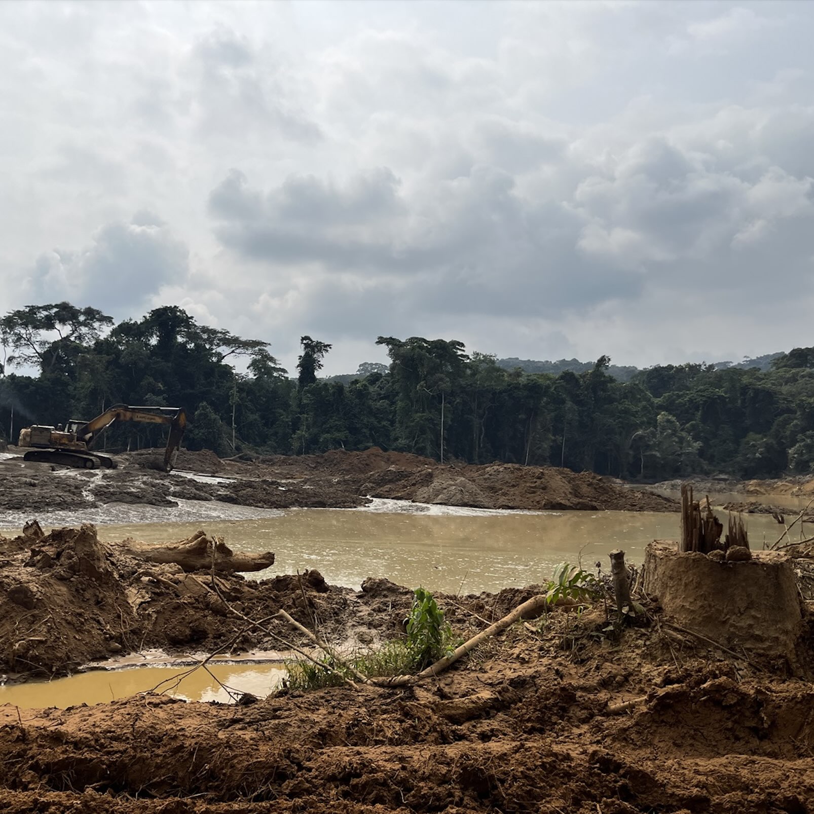 Mongabay Newscast