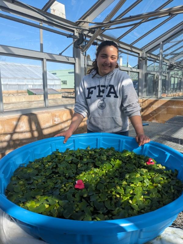 Off-Farm Income
