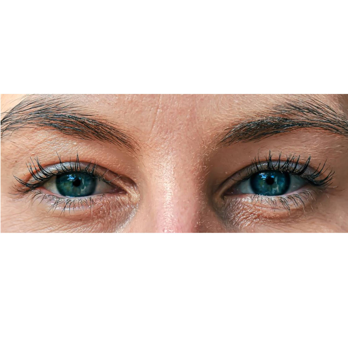 Ol' Blue Eyes