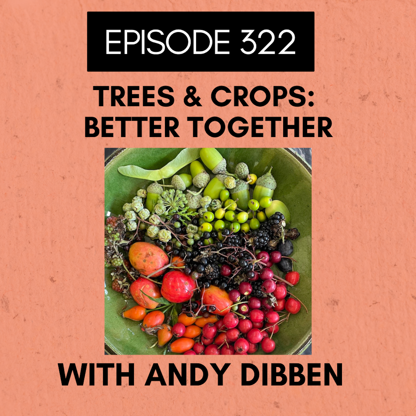 Roots and All - Gardening Podcast