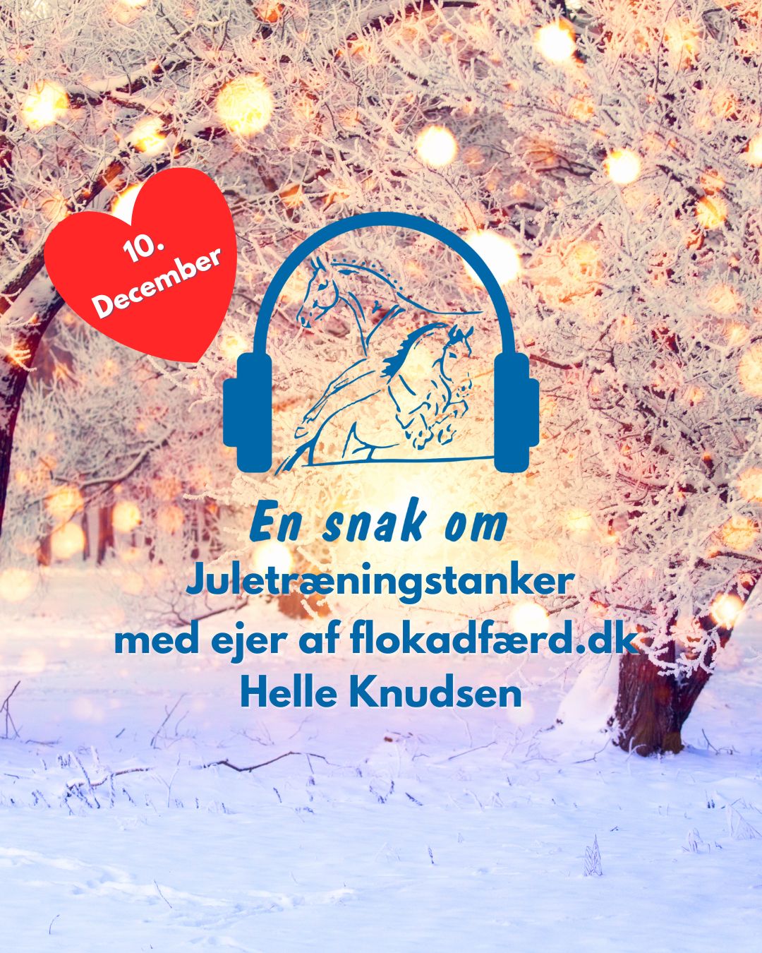 En snak om hestetræning