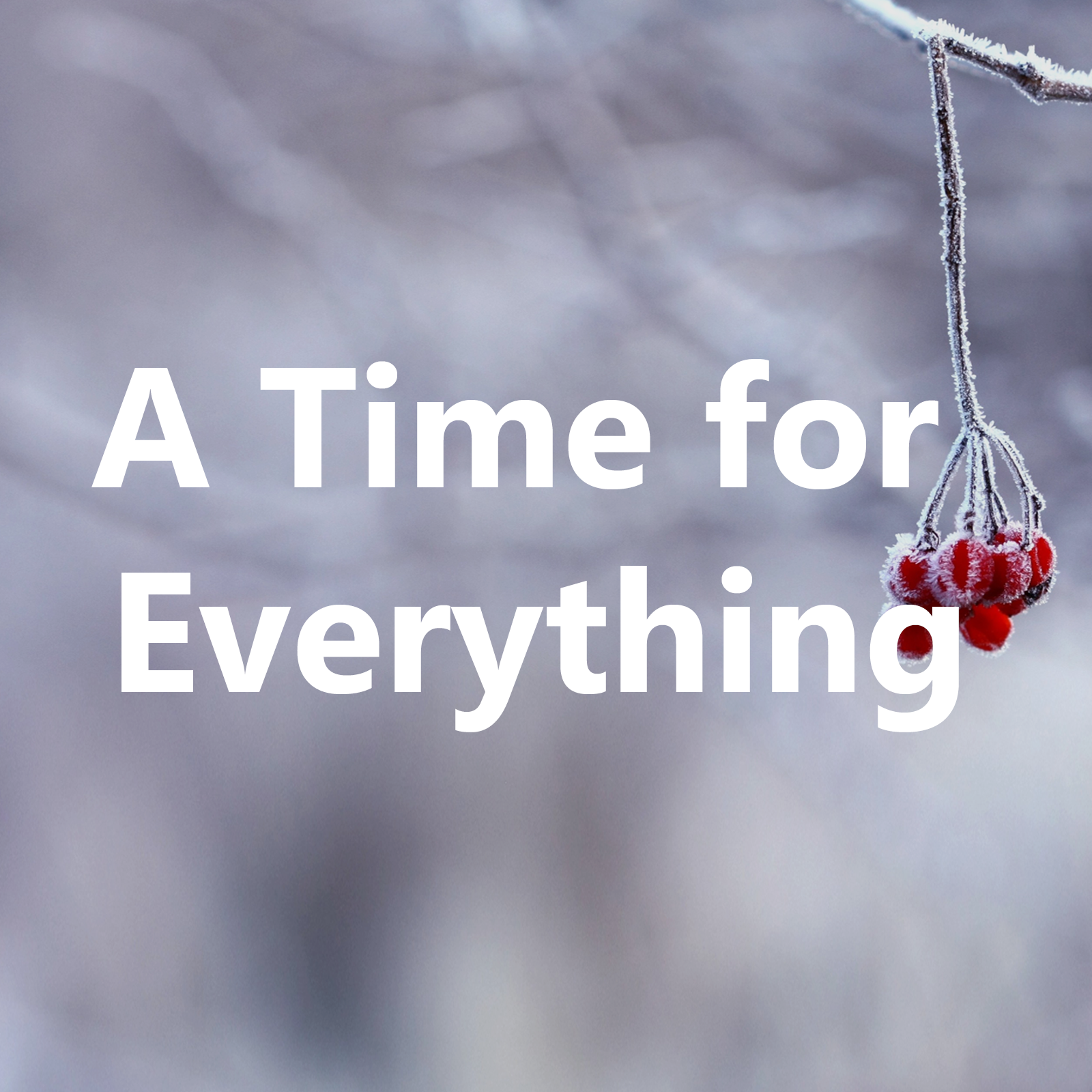A Time for Everything- Week 1 (Ecclesiastes 3) episode artwork