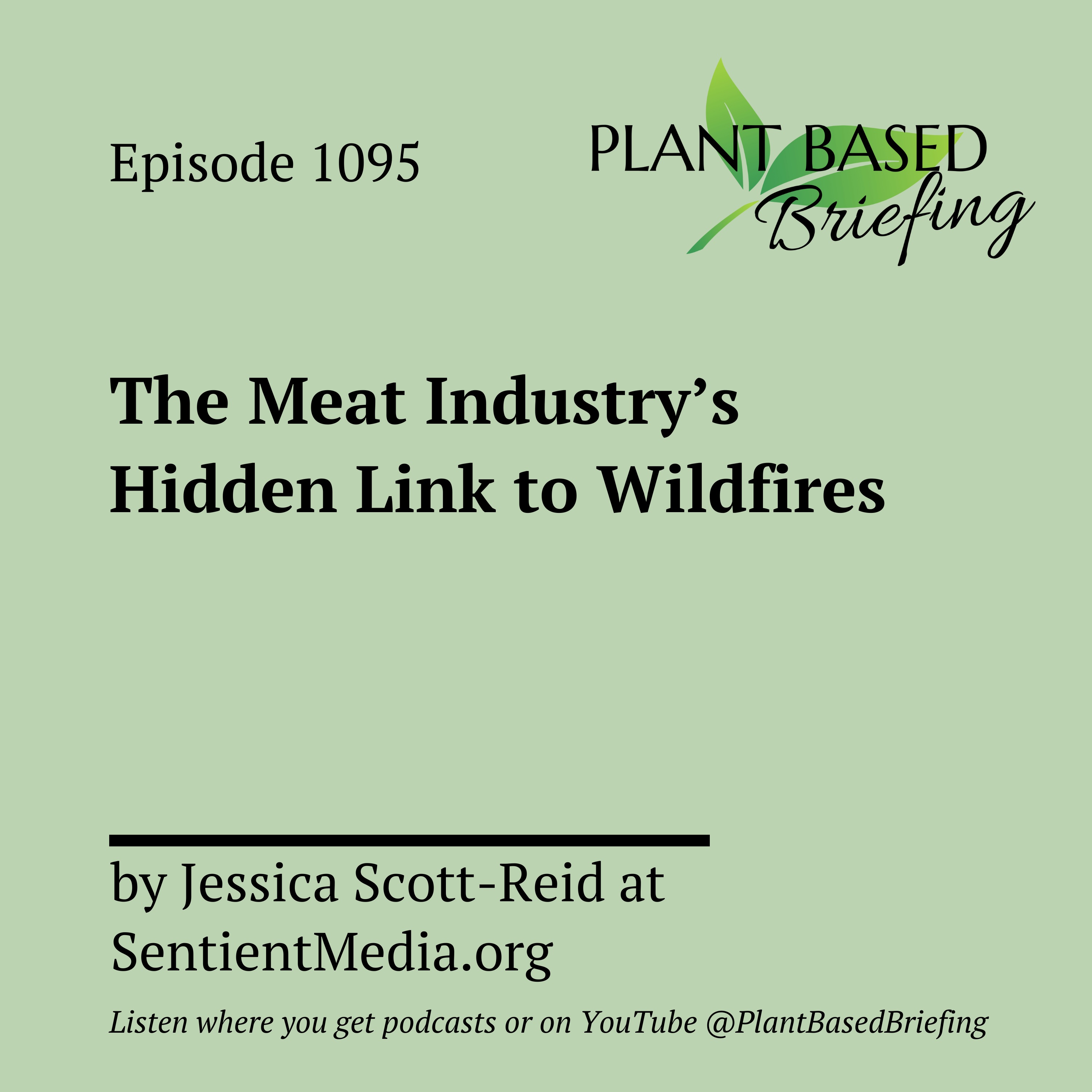 Plant Based Briefing