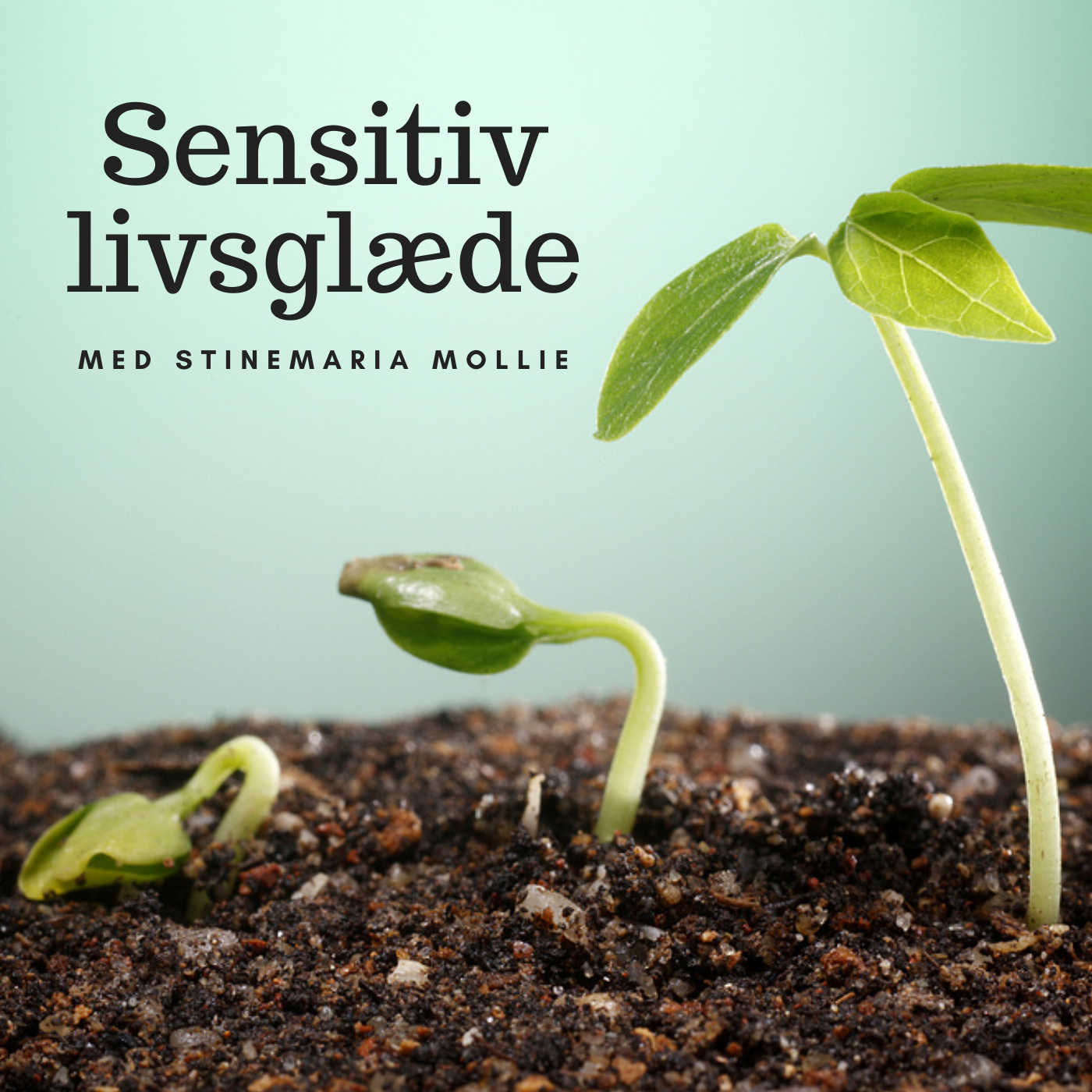 Sensitiv livsglæde