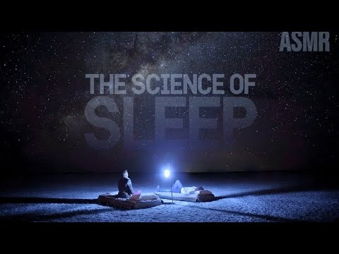(Rain version) The Science of Sleep | ASMR