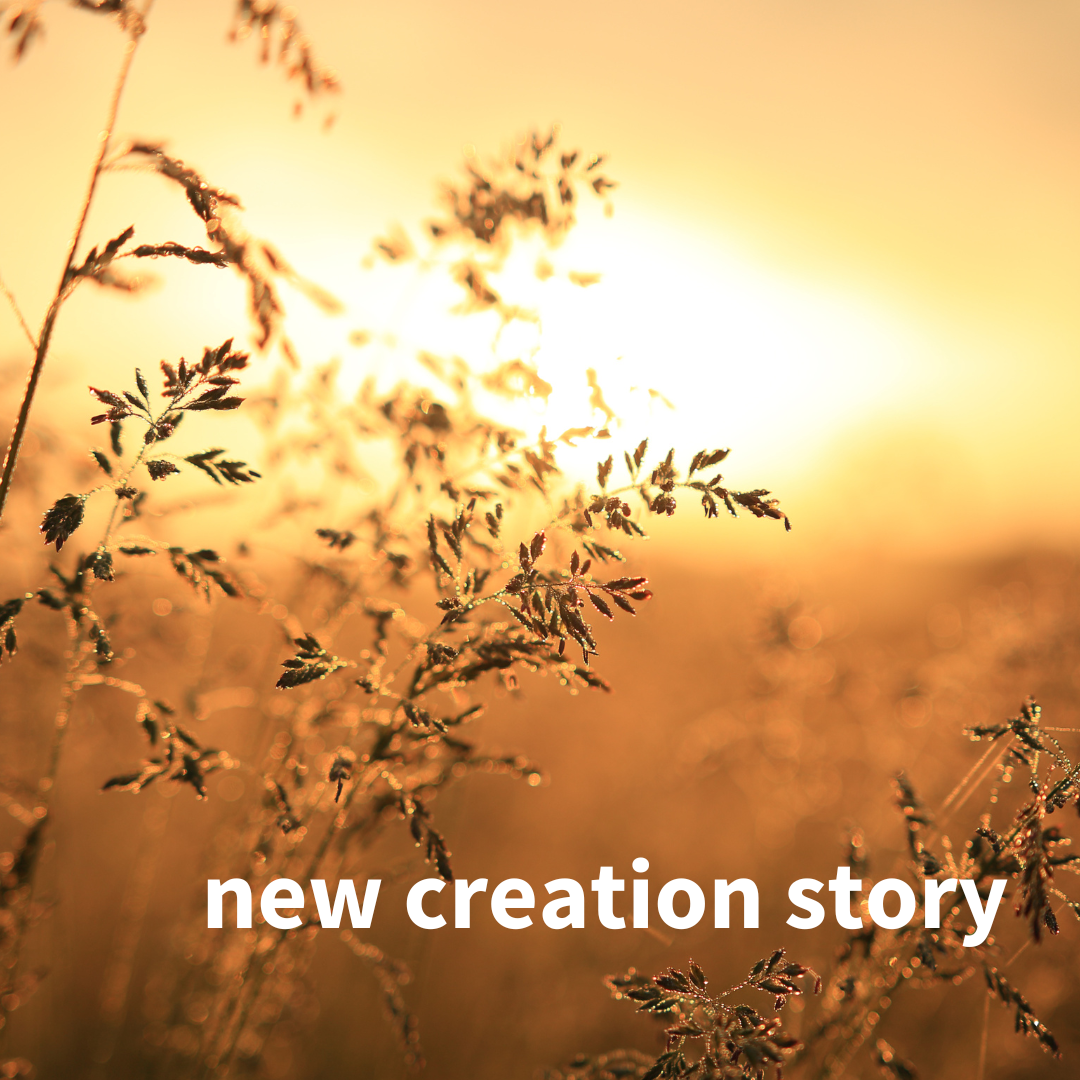 Christian Fellowship Church | Columbia