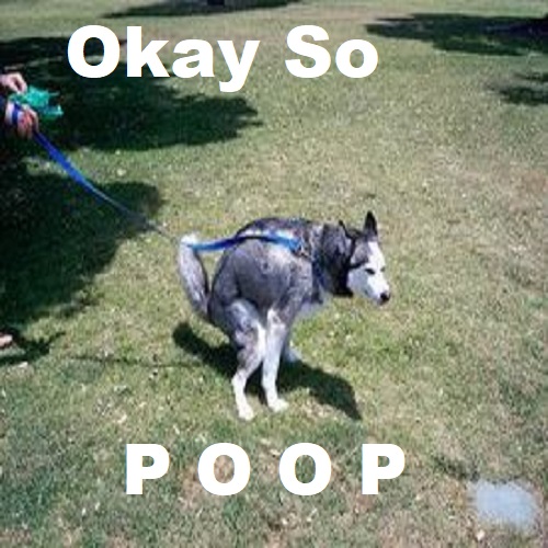 Okay, So..
