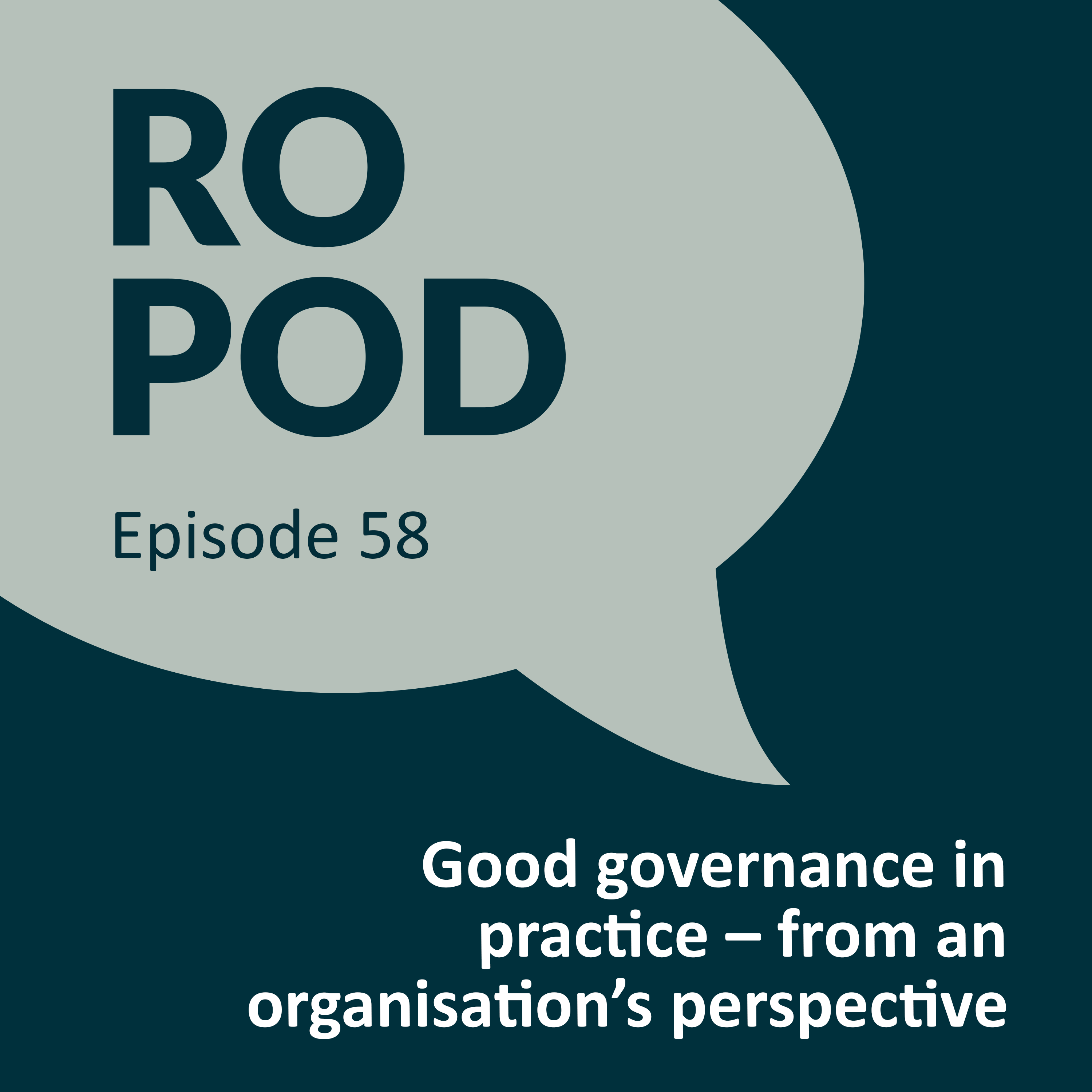 Episode 58: Good governance in practice – from an organisation’s perspective