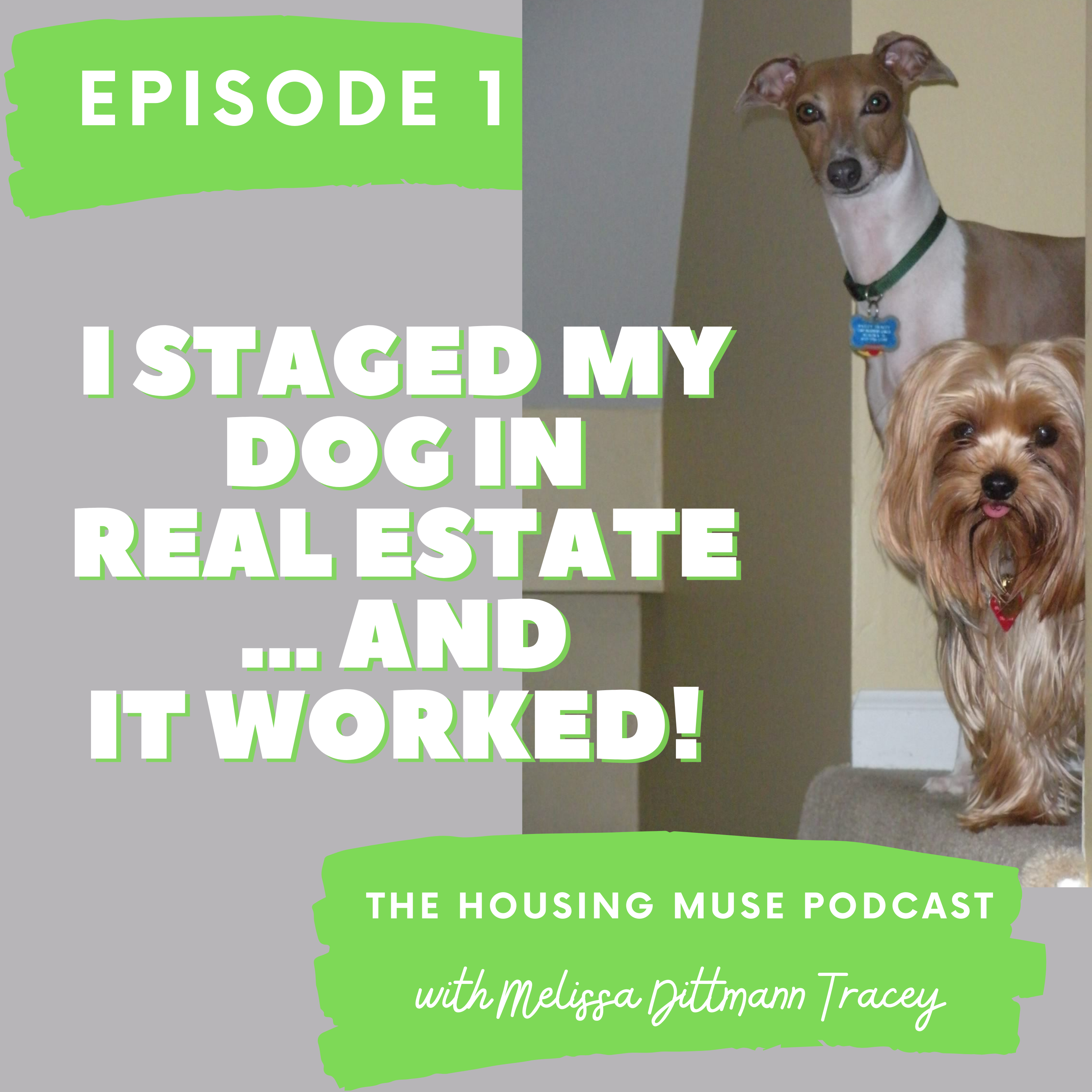 The Housing Muse Podcast with Melissa Dittmann Tracey