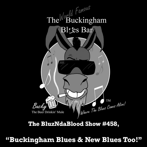 The BluzNdaBlood Blues Radio Show