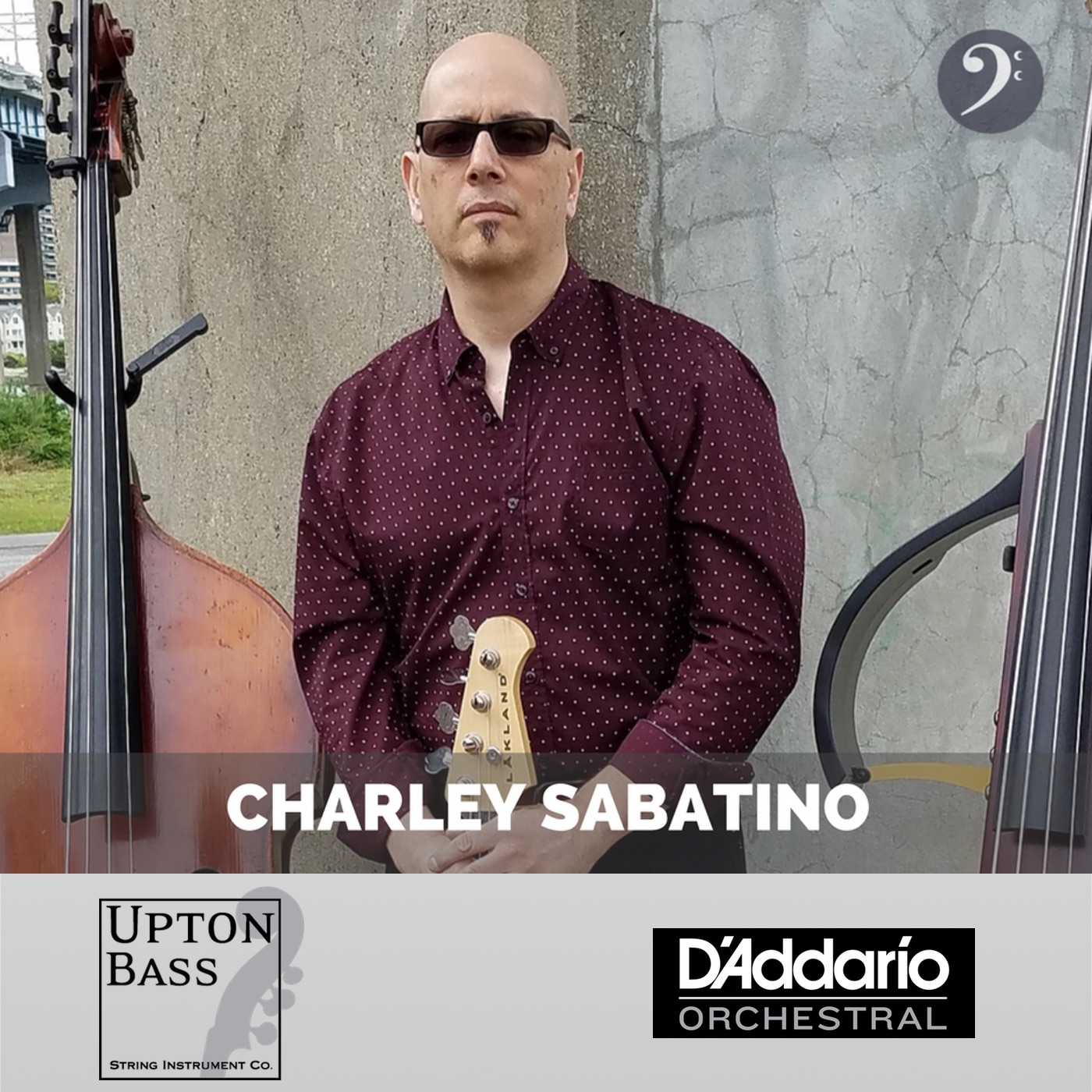 482: Charley Sabatino on the power of theory