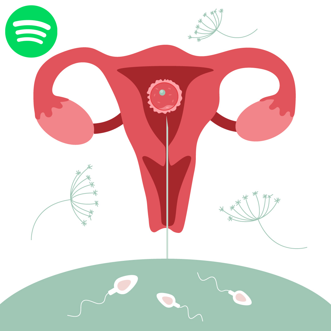 Wunschbaby Podcast