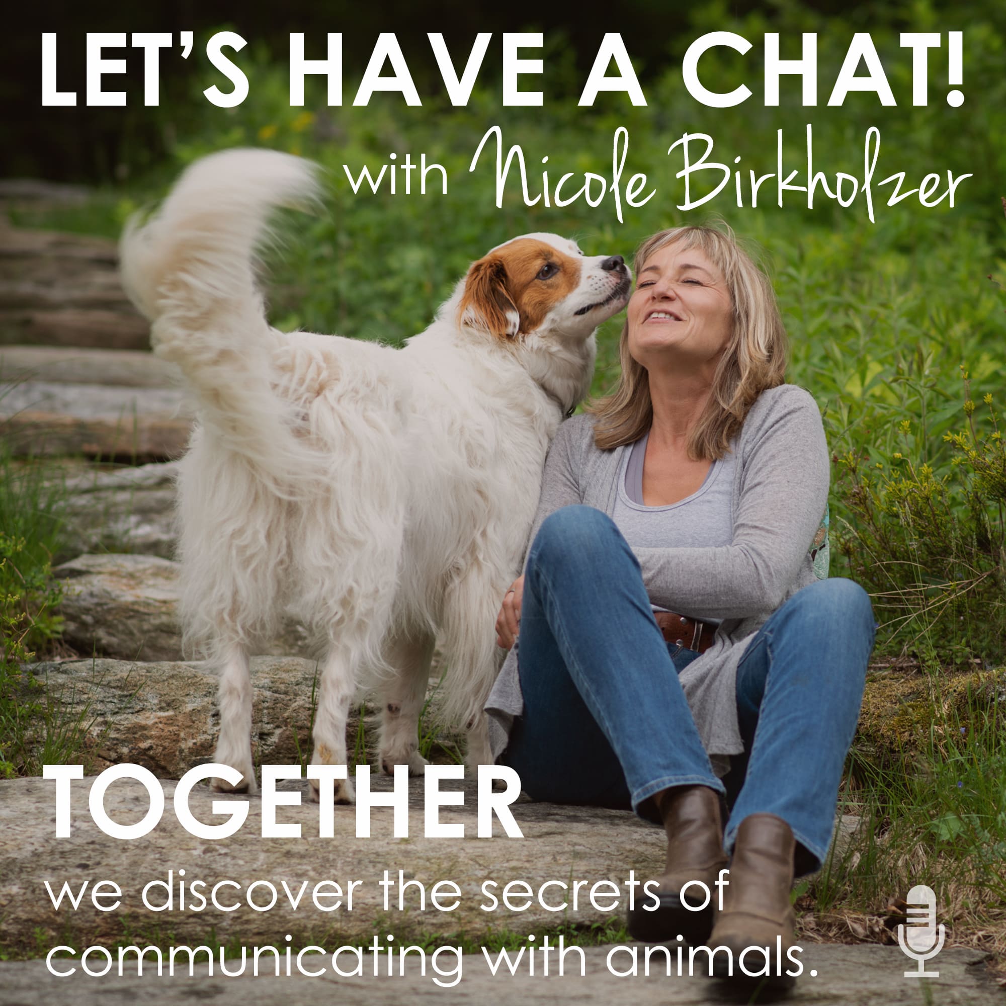 Let\'s Have A Chat!
