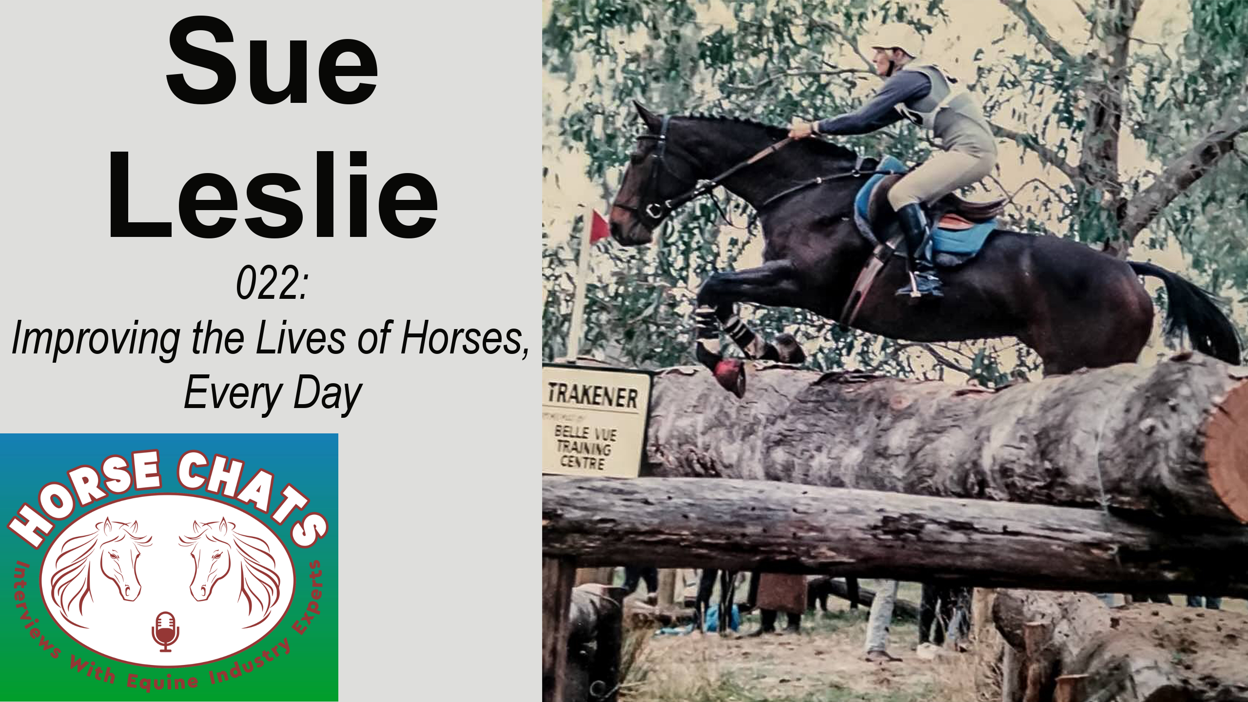 0022: Sue Leslie - Improving the Lives of Horses, Every Day