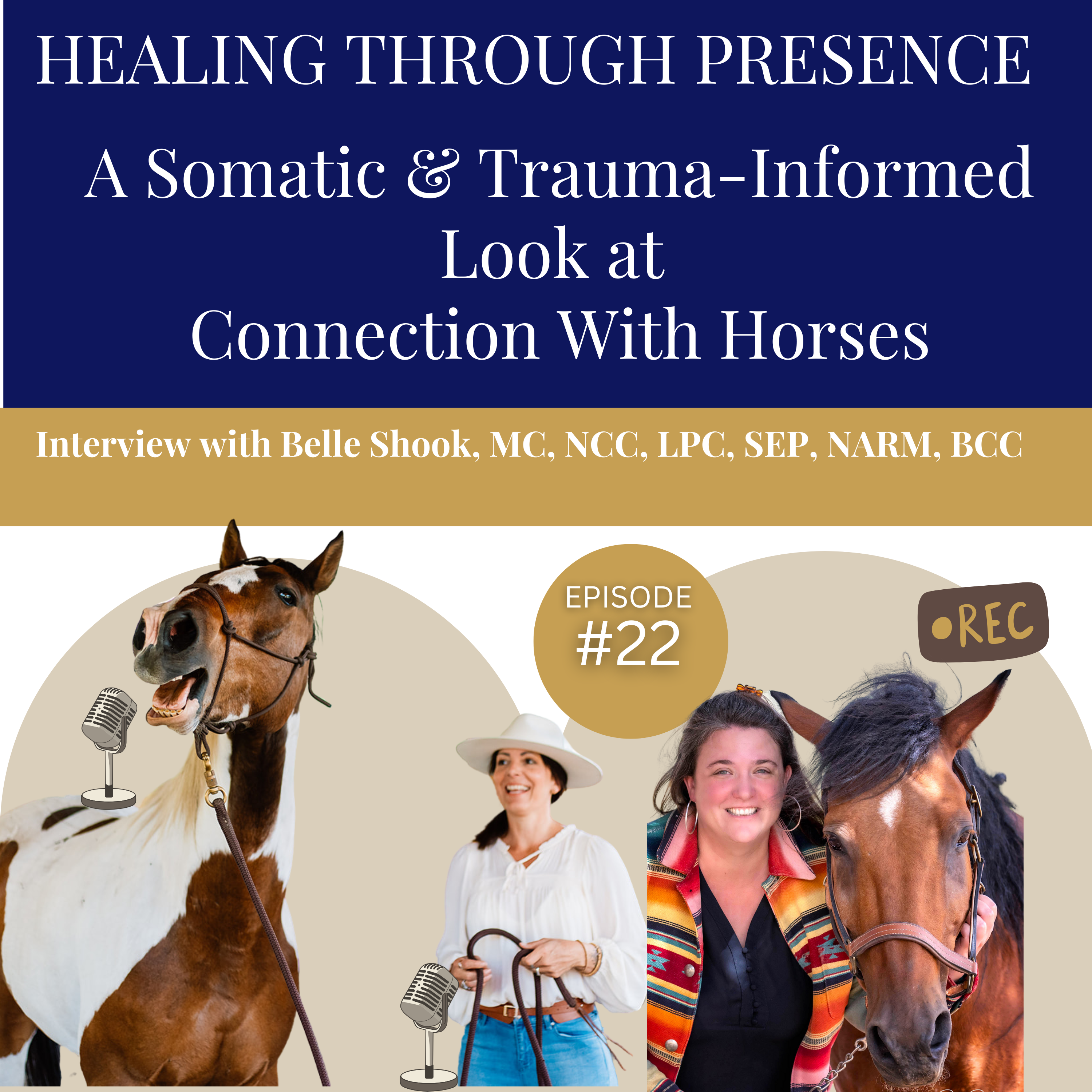 Equine Connection - The Art of Heart-Centered Horsemanship