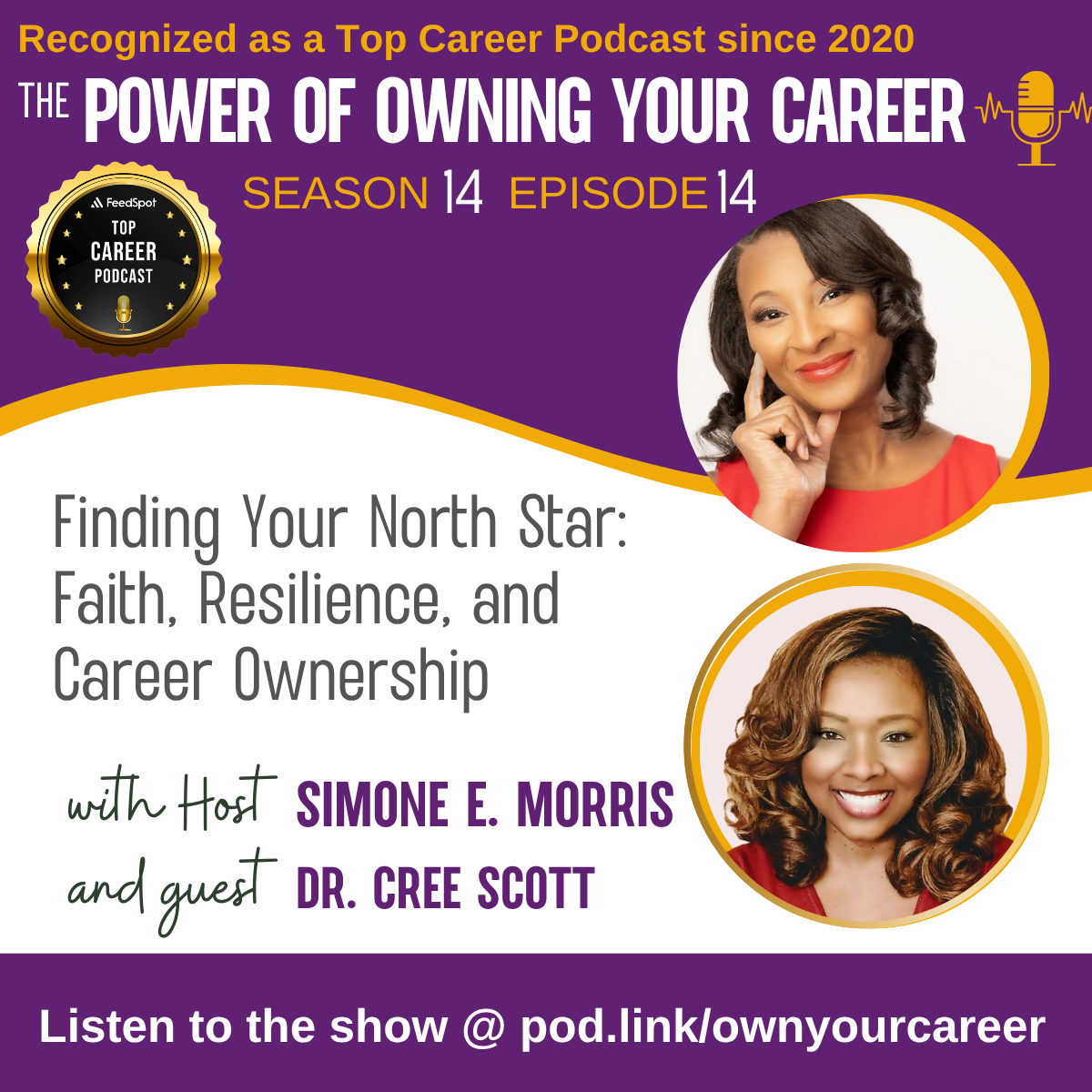 The Power of Owning Your Career Podcast