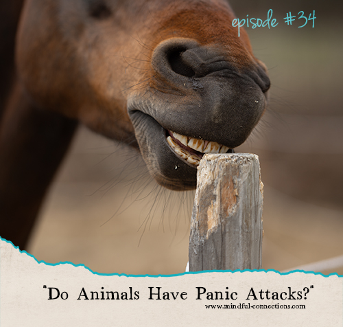 Let\'s Have A Chat!