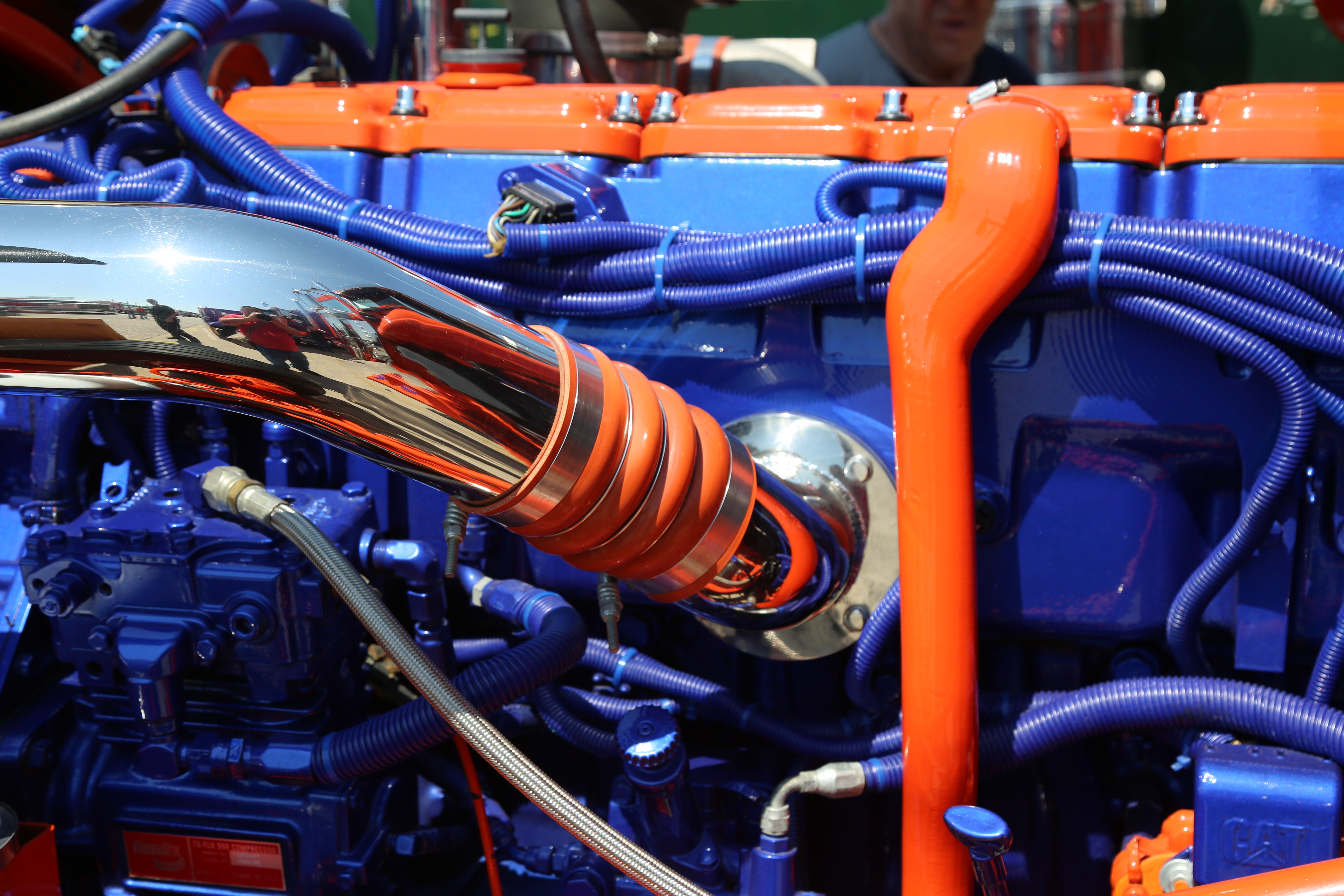 TWK Trucking with kingfish