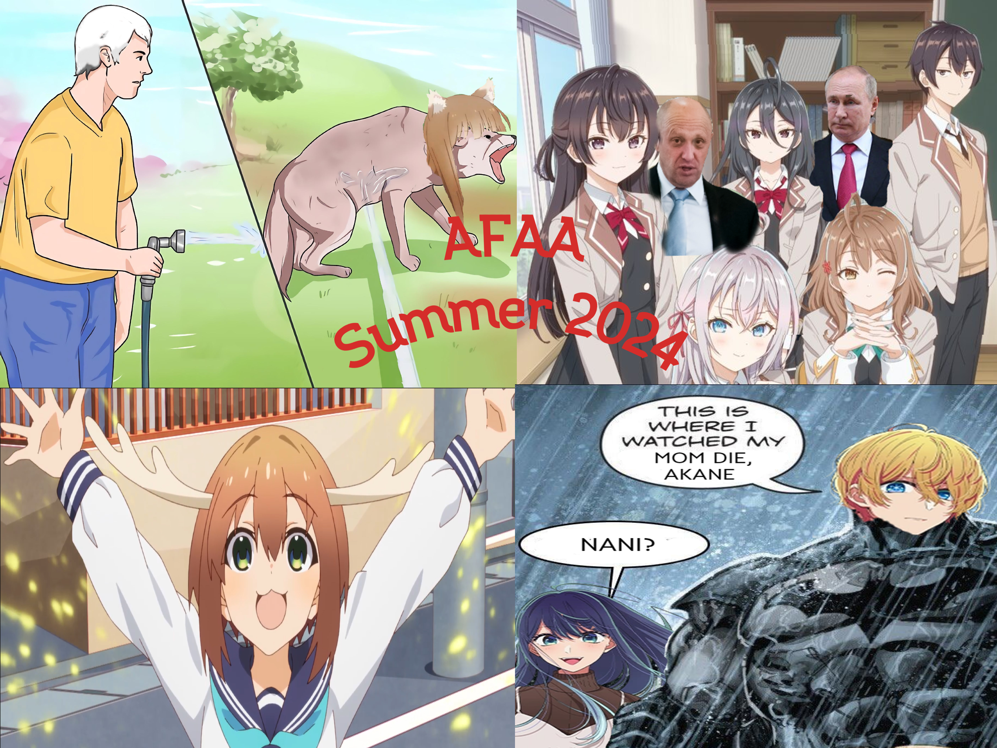 Anime Fans Against Anime