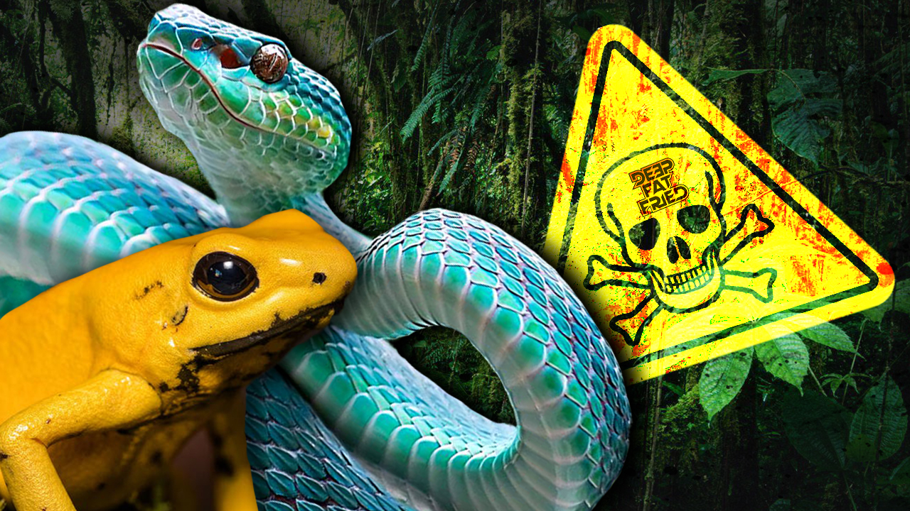Venomous and Poisonous Animals = DFF (Preview)