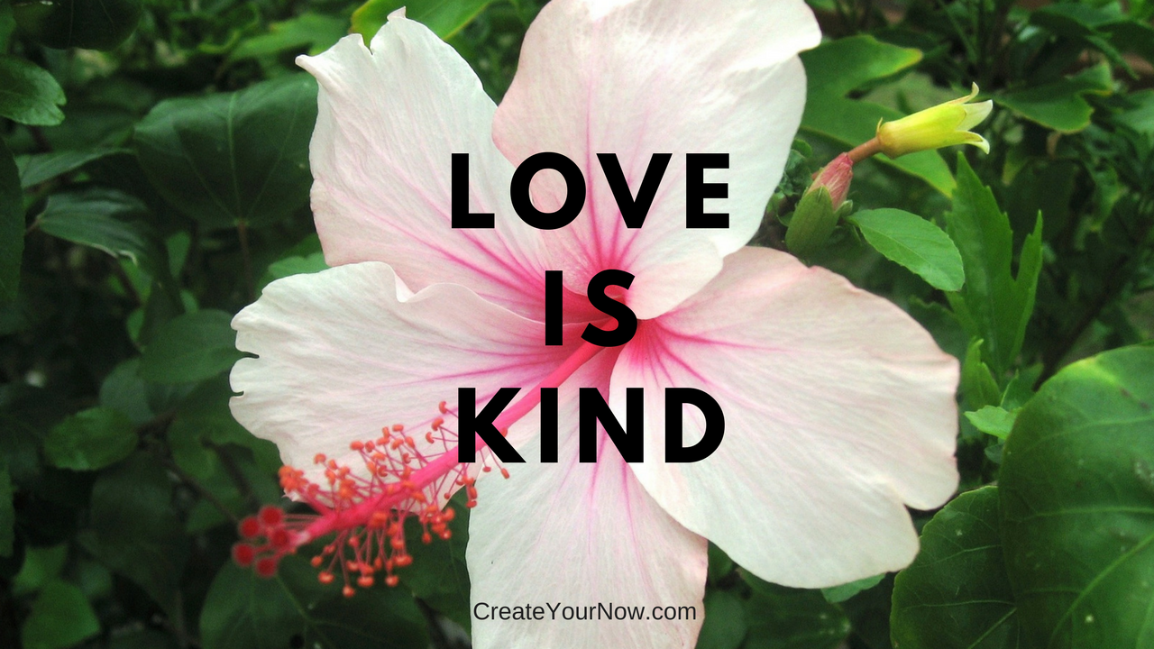 897 Love is Kind