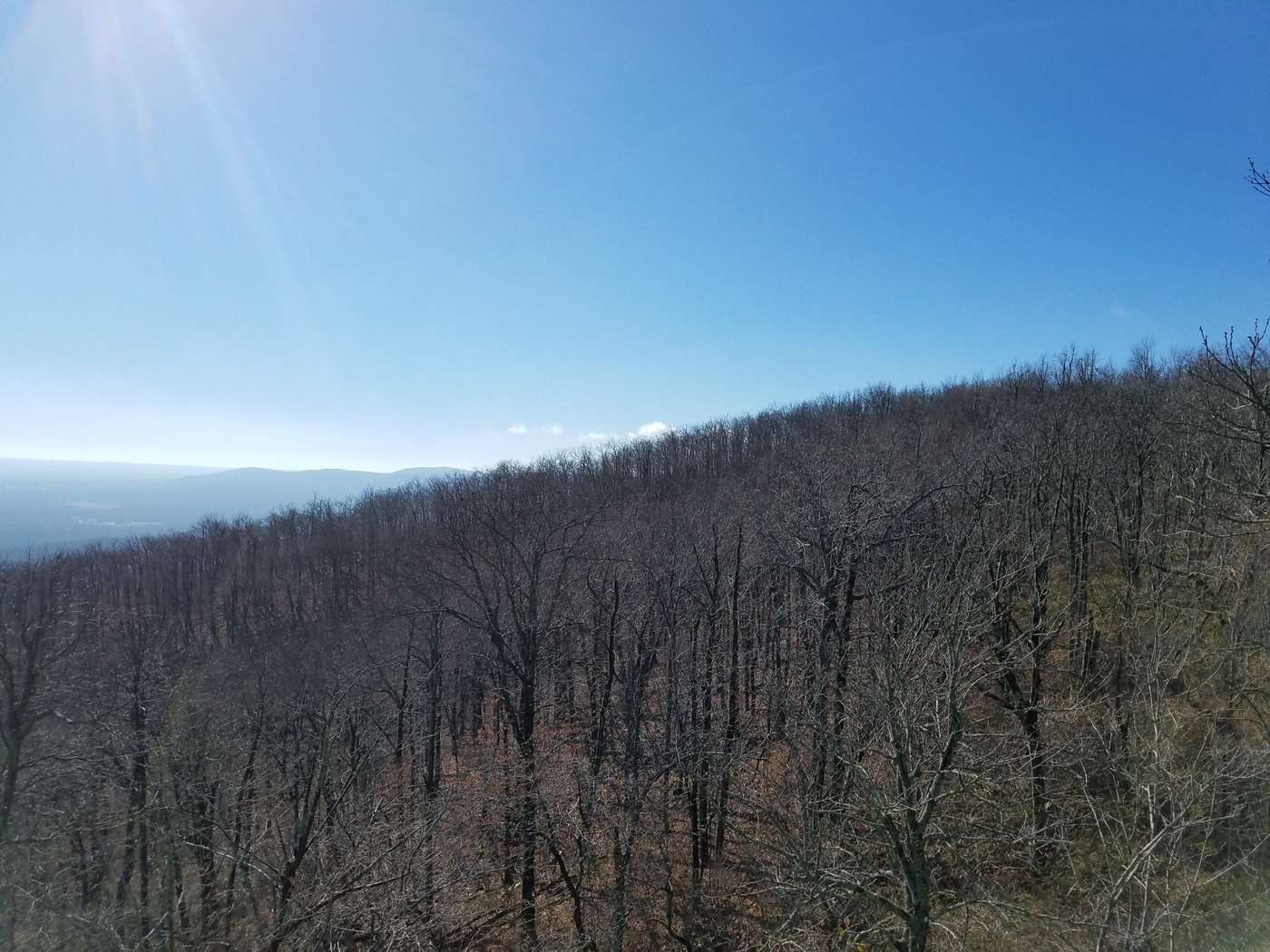 RAF114: Road Trip - Queen Wilhelmina State Park