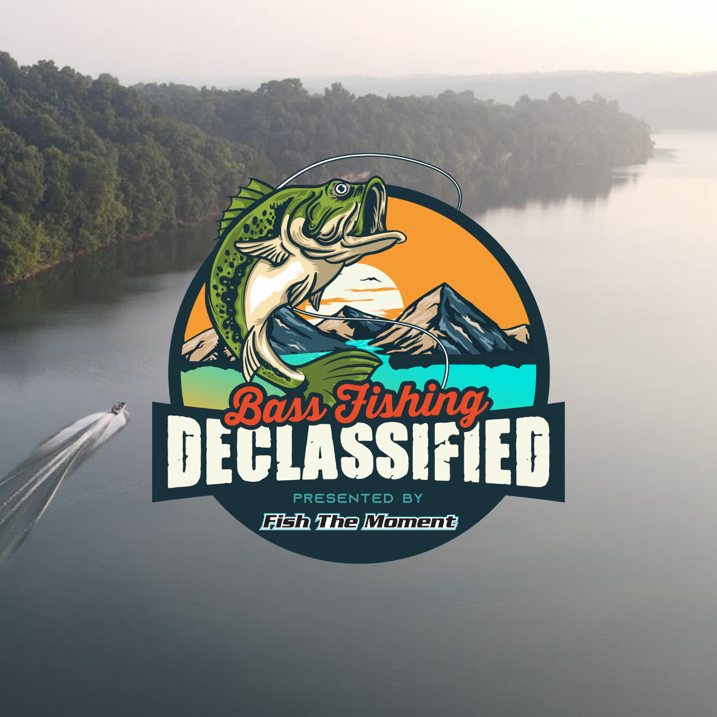 The Tournament Winning Crankbait Pros Never Talk About | BFD