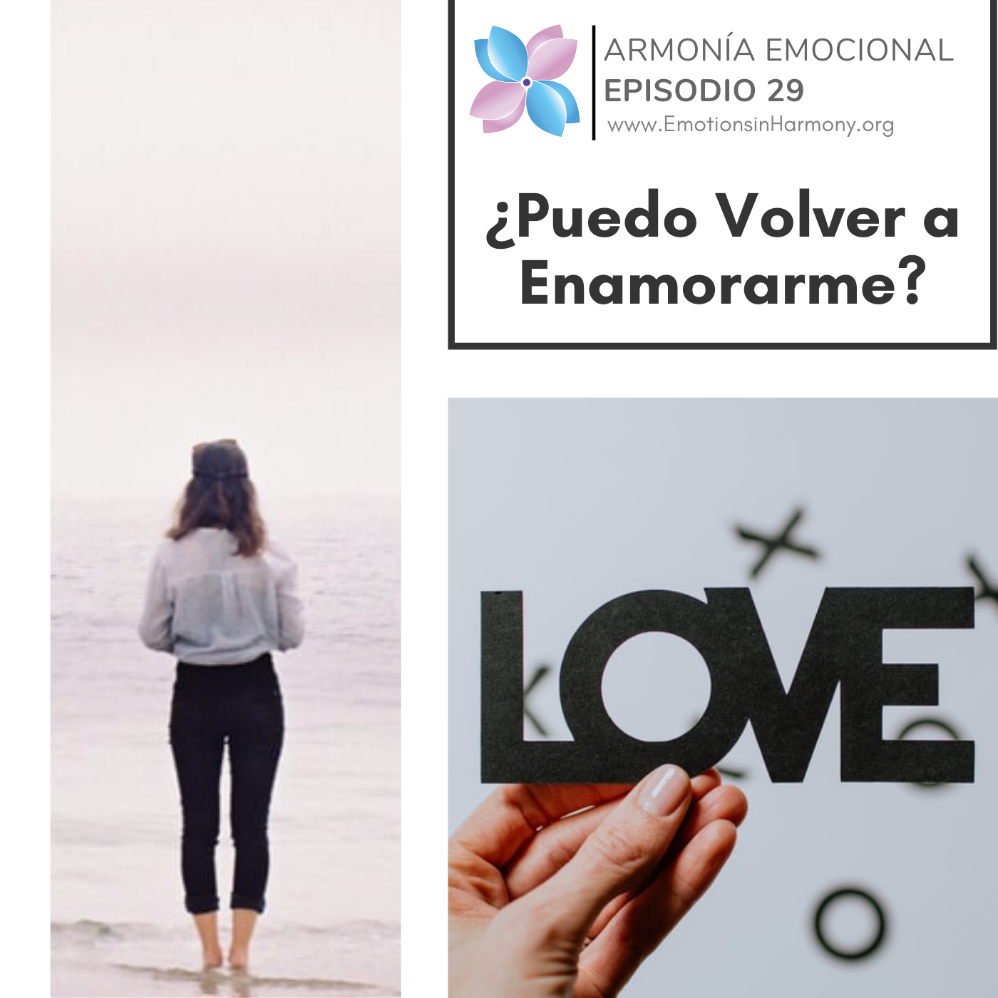 Armonia Emocional
