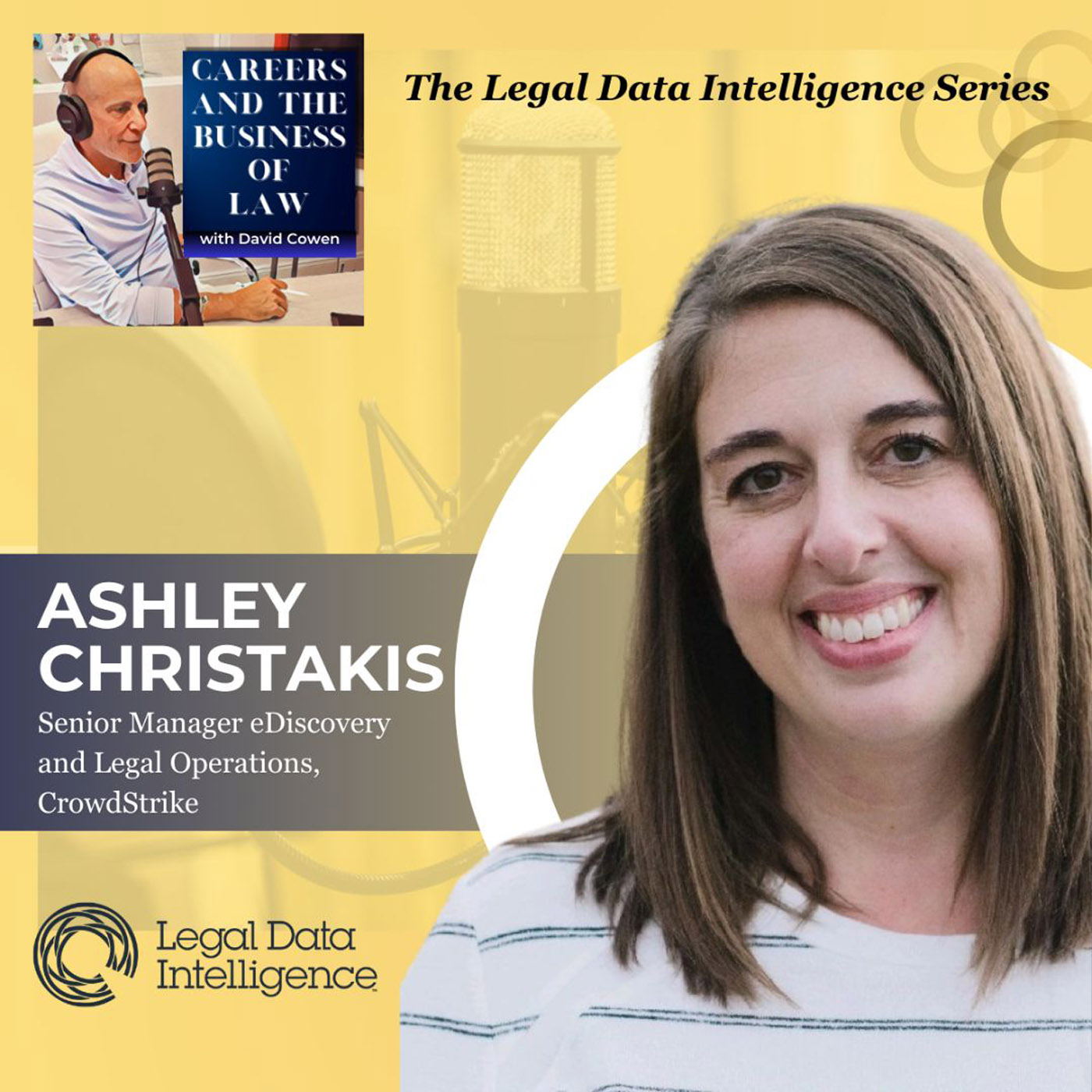 Careers and the Business of Law