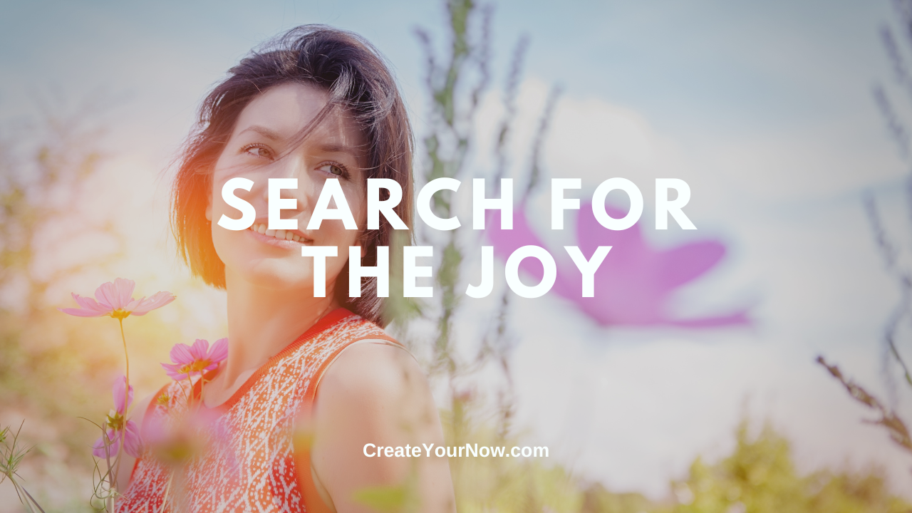 3746 Search for the Joy