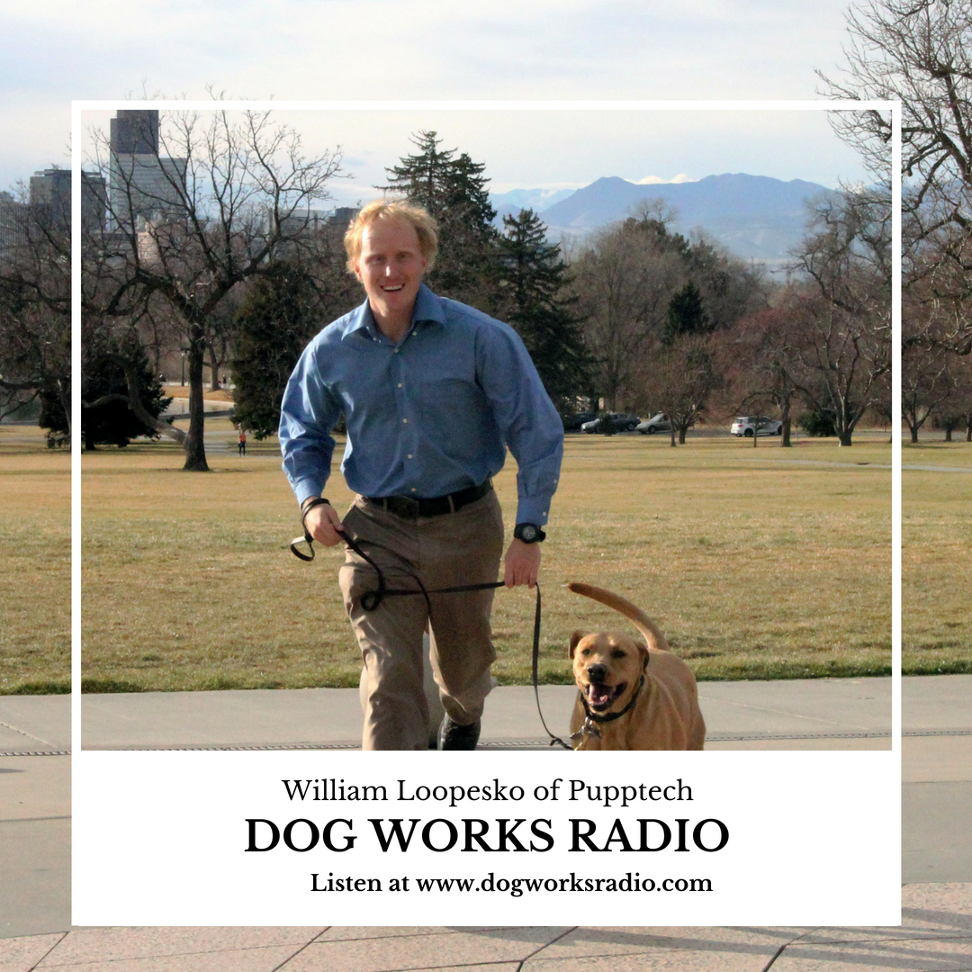 Dog Works Radio: William Loopesko of PuppTech