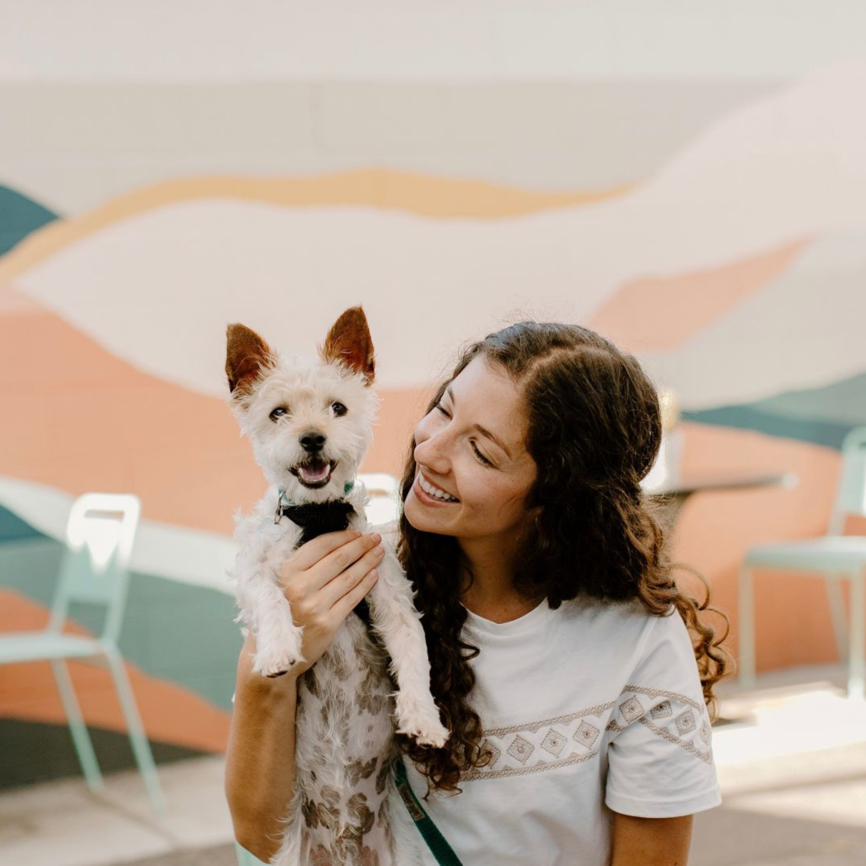Pet Sitter Confessional