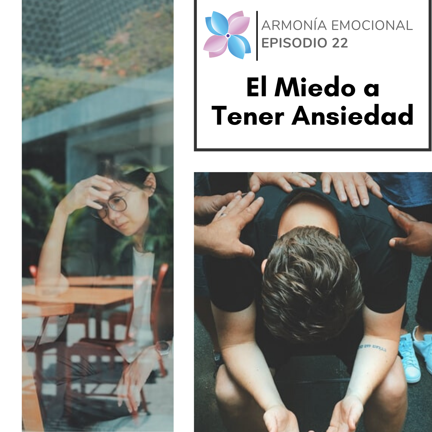 Armonia Emocional