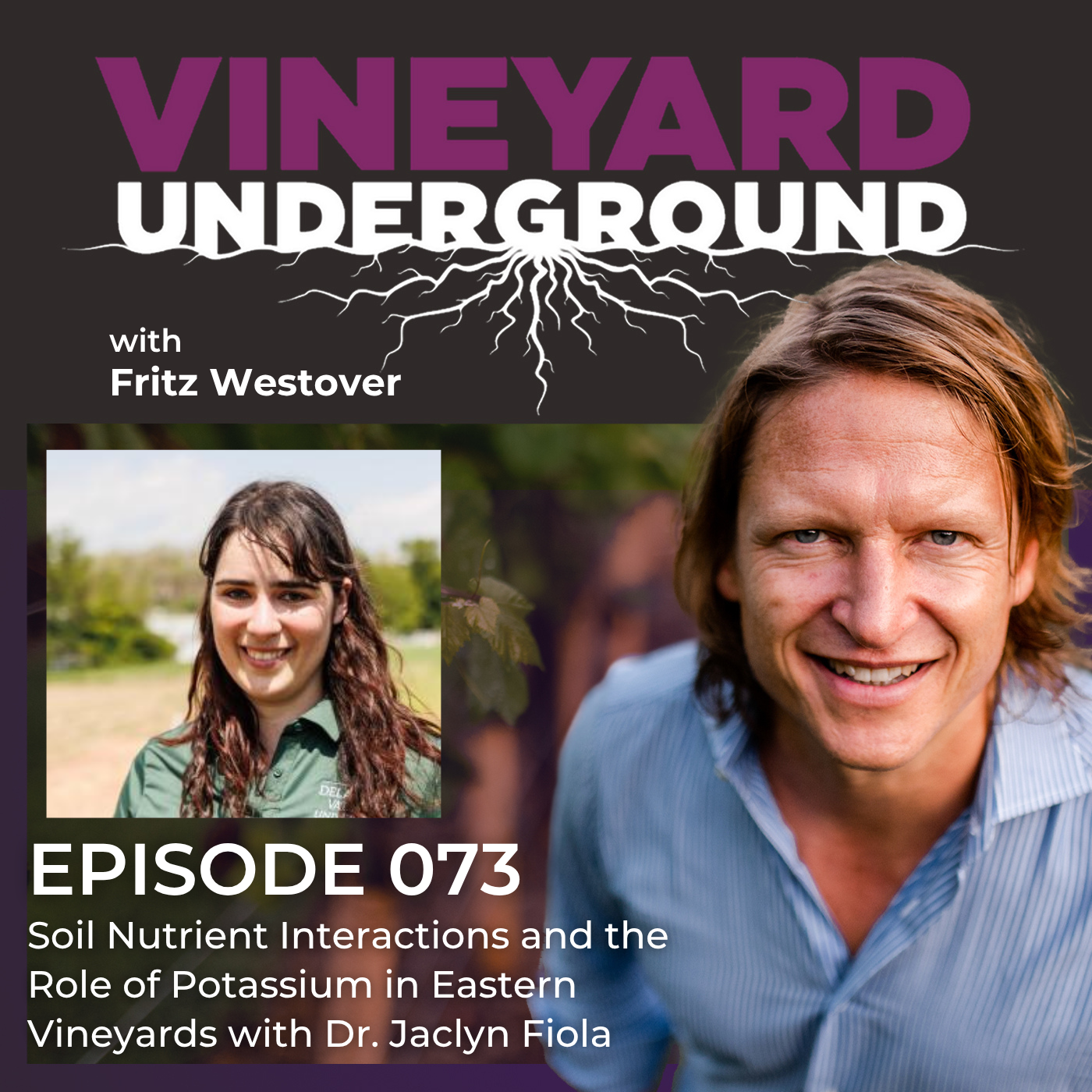 Vineyard Underground